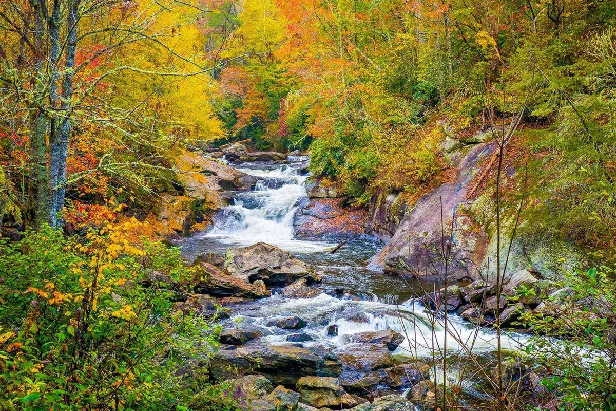 A tranquil riverside setting featuring a flowing river, colorful autumn foliage, and rugged rock formations. The area invites outdoor activities like hiking and nature walks, and exudes a peaceful atmosphere perfect for leisurely strolls with pets.