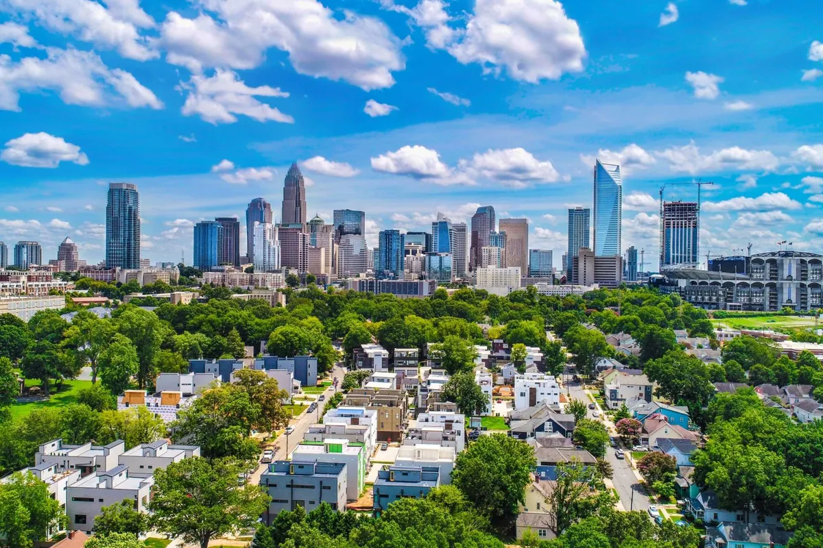 This image presents a vibrant view of the downtown skyline framed by lush green trees and residential neighborhoods. The scene captures the essence of community green spaces and the proximity of urban amenities to natural settings, suggesting a neighborhood ideal for walks and exploration with pets.
